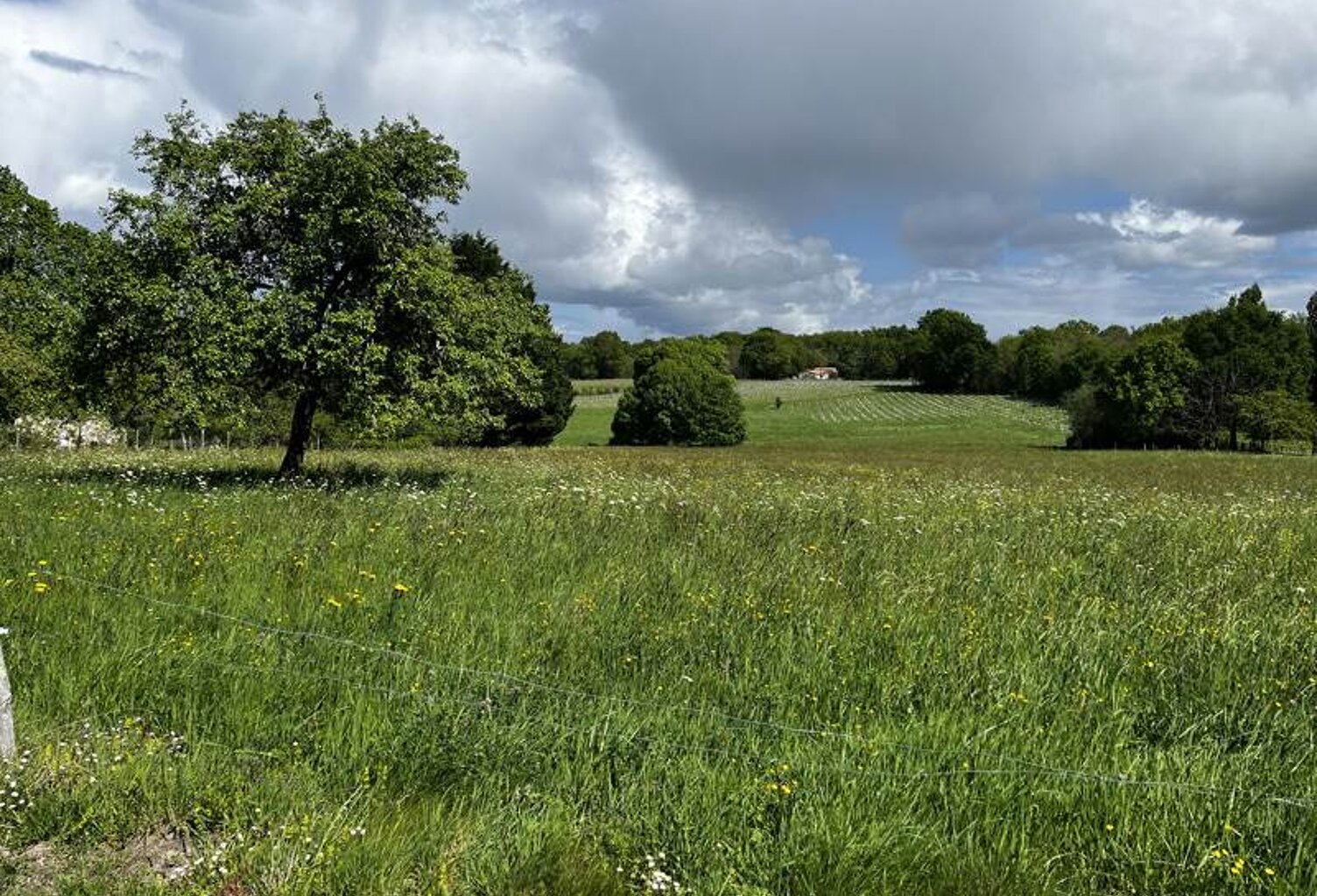 Vente terrain  1378 m² Montendre (17130) — photo 1