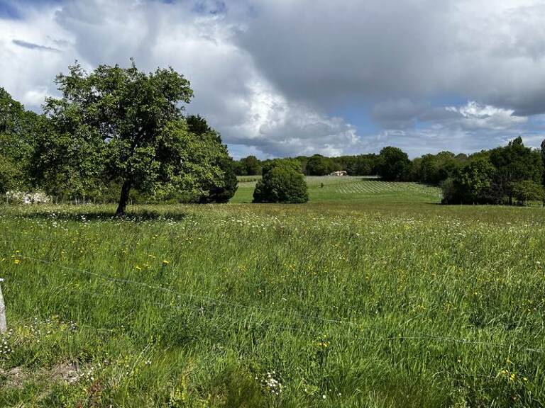 Terrain à construire  1378 m²  — photo 1
