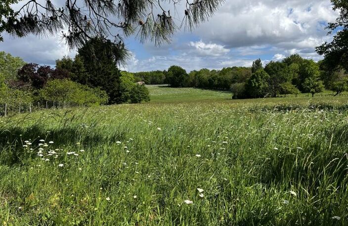 Vente terrain  1378 m² Montendre (17130) — photo 3