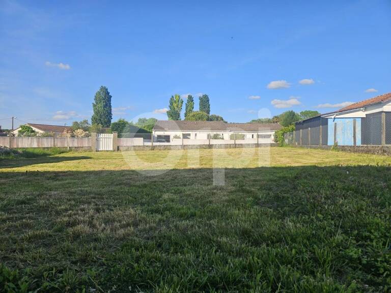 Saint Sulpice De Royan - Terrain à bâtir — photo 1