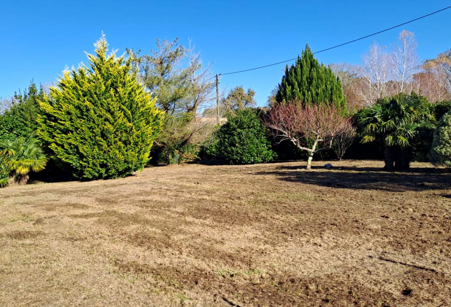 Soustons Proche du centre  945 m2 — photo 1