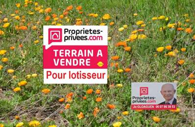 Terrain à bâtir de 10 000 m2 exclusivement pour lotisseur — photo du bien