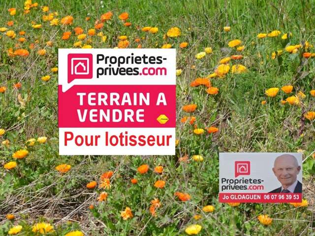 Terrain à bâtir de 10 000 m2 exclusivement pour lotisseur — photo du bien