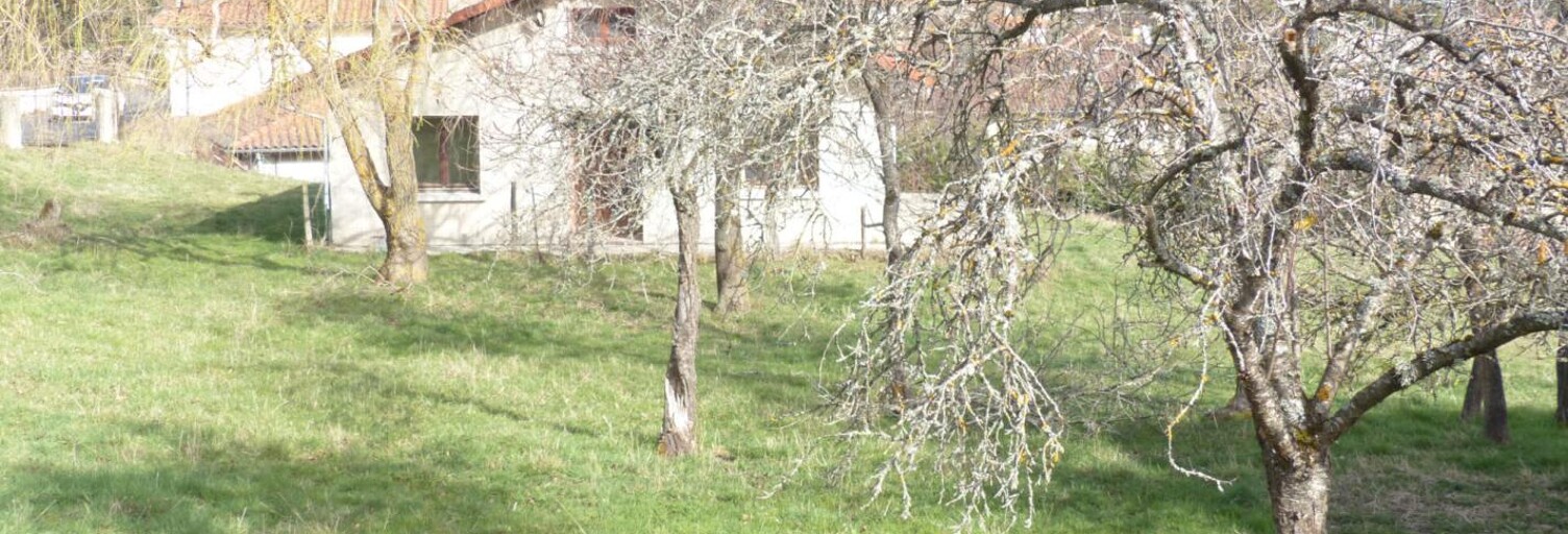 Maison 4 Pièces 88 m² à vendre à Cussac-sur-Loire (43370)