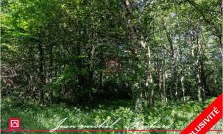 Maison 4 Pièces 101030 m² à vendre à Le Controis-en-Sologne (41120)