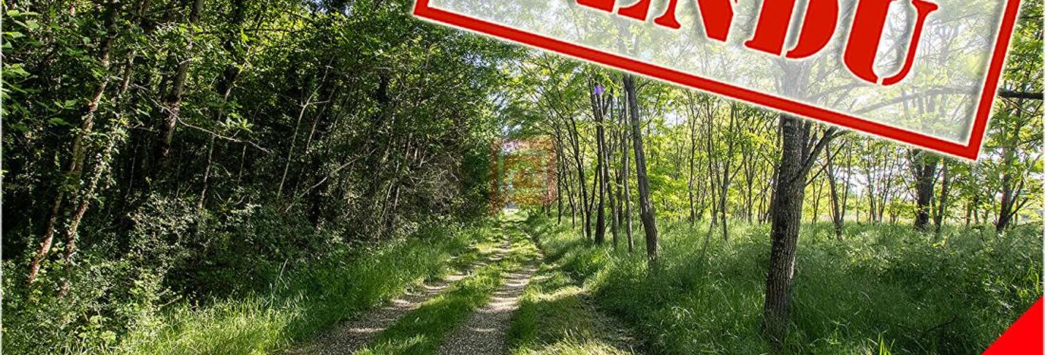 Maison 4 Pièces 101030 m² à vendre à Le Controis-en-Sologne (41120)