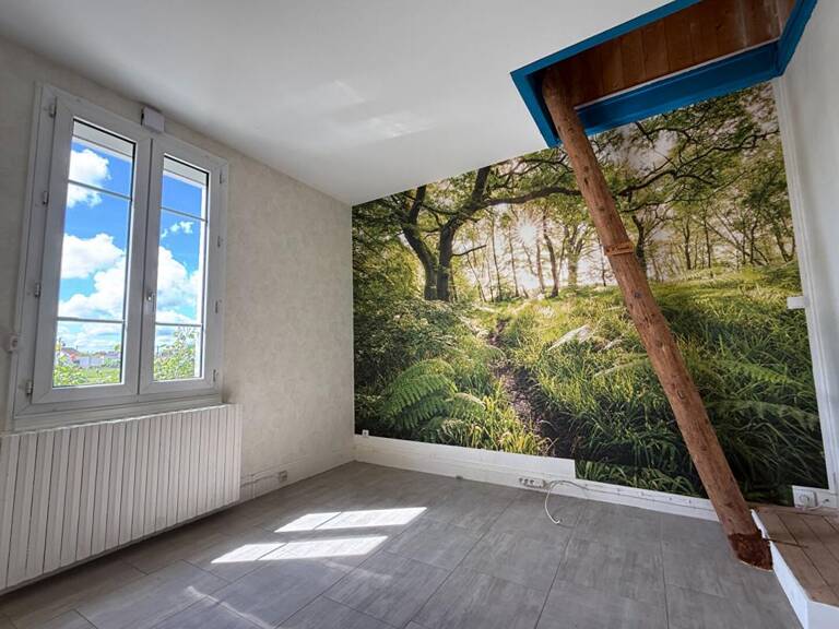 Maison Yzeure avec dépendance cave Jardin puits atelier — photo 1