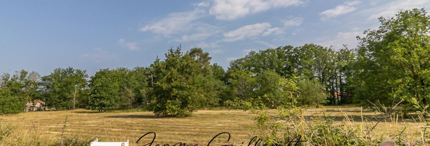 Terrain  7161 m² à vendre à La Ferté-Imbault (41300)