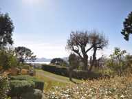 Superbe appartement 3 pièces - Cannes Californie — photo 2