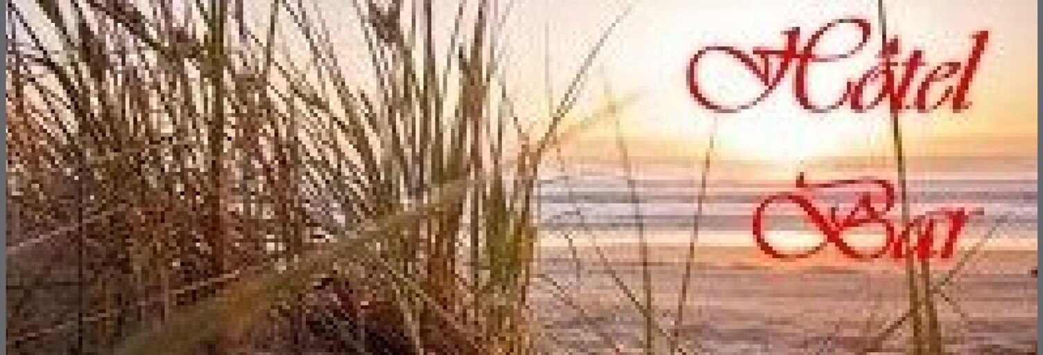 Commerce  150 m² à vendre à Talmont-Saint-Hilaire (85440)