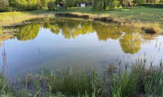 Terrain  7248 m² à vendre à Le Lion-d'Angers (49220)