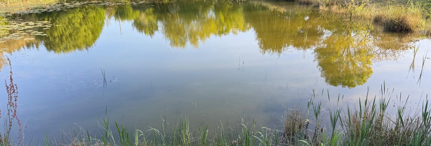 Terrain  7248 m² à vendre à Le Lion-d'Angers (49220)