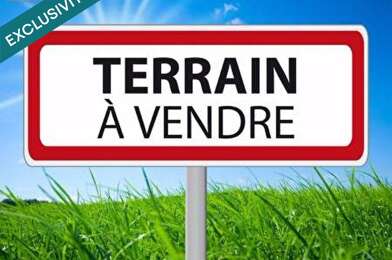 Terrain  55000 €