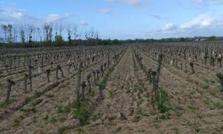 Terrain  65000 m² à vendre à Savigny-en-Véron (37420)