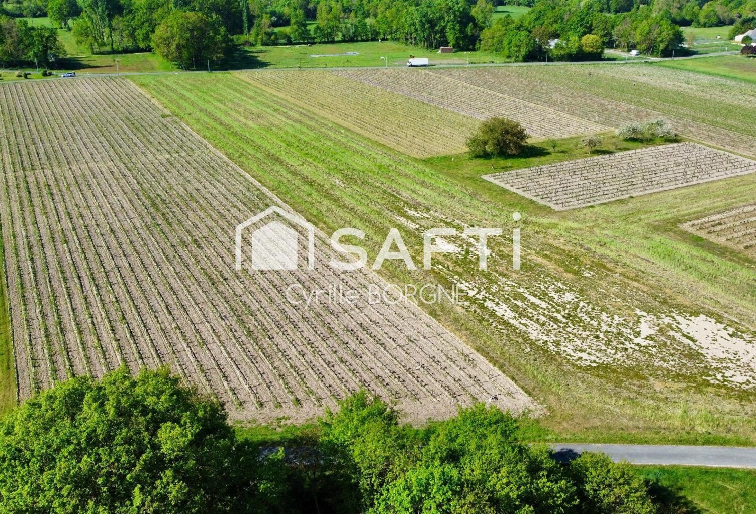 Superbes parcelles avec vignes entretenues et terres agricoles ! — photo 1