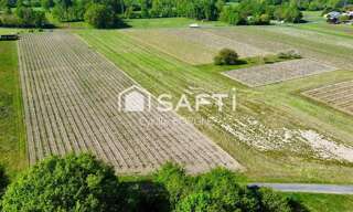 Terrain  65000 m² à vendre à Savigny-en-Véron (37420)