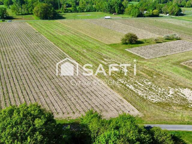 Superbes parcelles avec vignes entretenues et terres agricoles ! — photo du bien