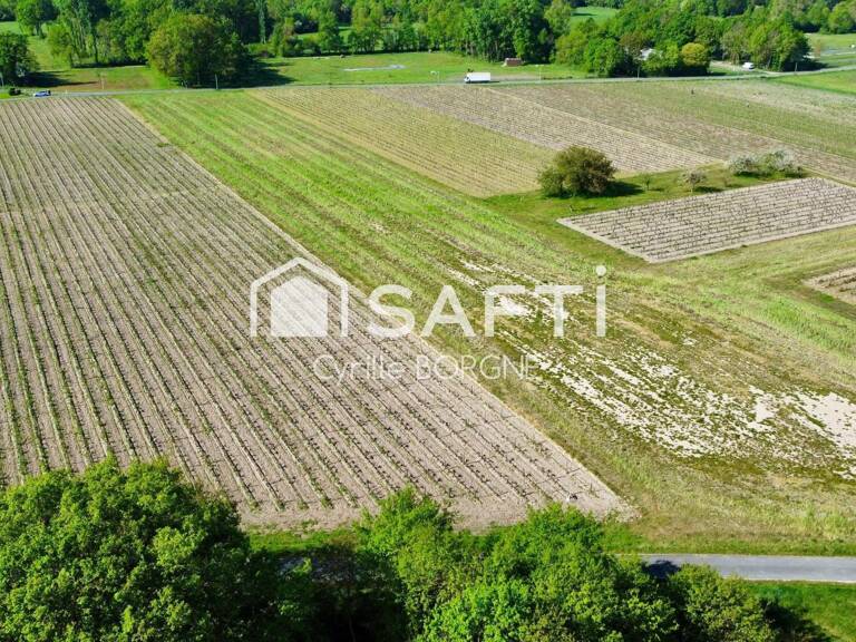 Superbes parcelles avec vignes entretenues et terres agricoles ! — photo 1