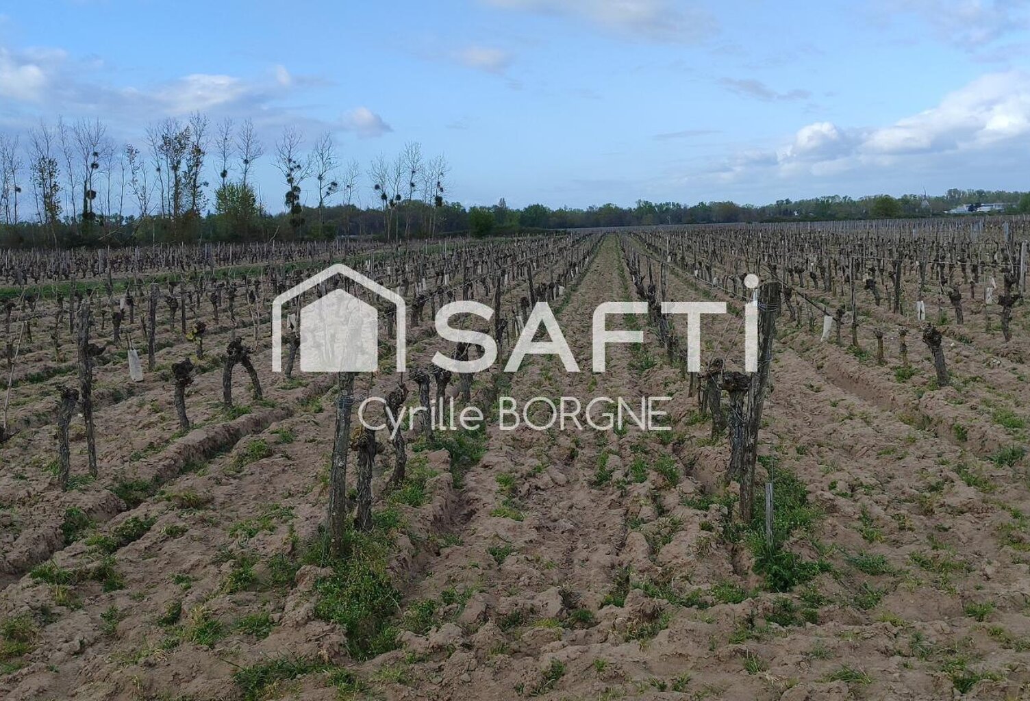 Superbes parcelles avec vignes entretenues et terres agricoles ! — photo 1