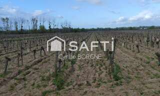 Terrain  32000 m² à vendre à Savigny-en-Véron (37420)