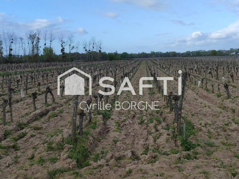 Superbes parcelles avec vignes entretenues et terres agricoles ! — photo 1