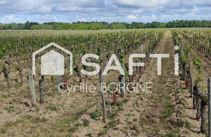 Superbes parcelles avec vignes entretenues et terres agricoles ! — photo 2