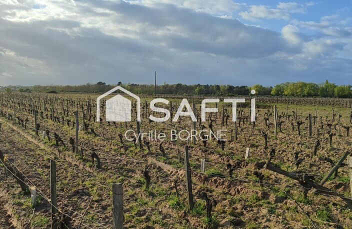 Superbes parcelles avec vignes entretenues et terres agricoles ! — photo 3