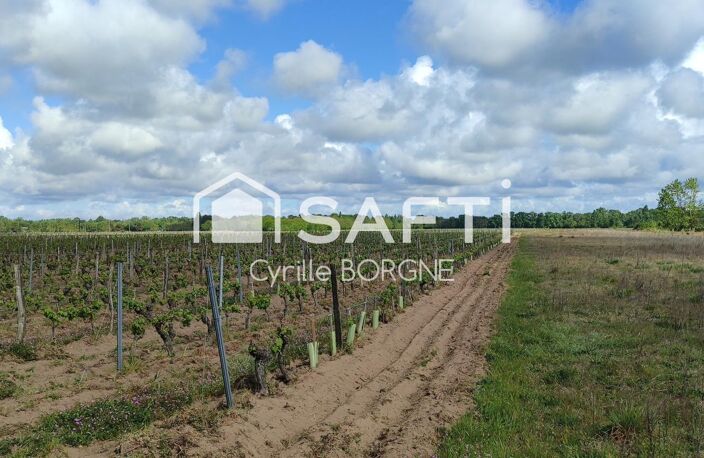 Superbes parcelles avec vignes entretenues et terres agricoles ! — photo 4