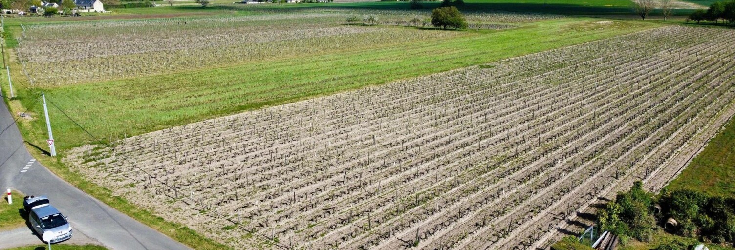 Terrain  33000 m² à vendre à Savigny-en-Véron (37420)