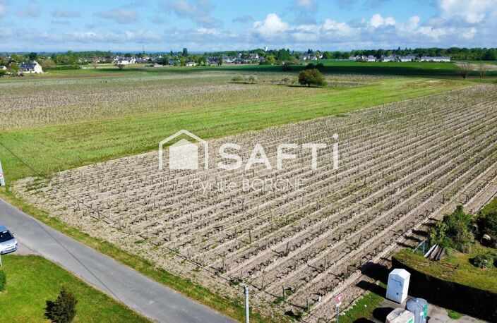 Superbes parcelles avec vignes entretenues et terres agricoles — photo 2