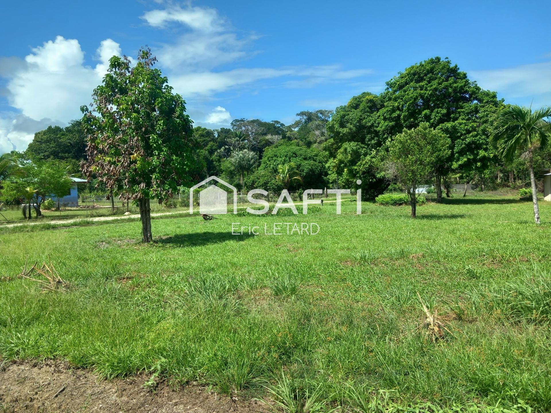 Agence immobilière de SAFTI
