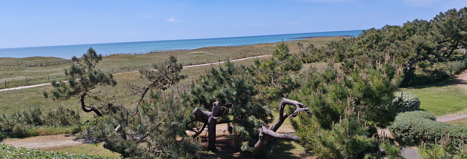 Photo N° 2