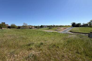 Terrain  55000 €