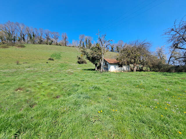 Terrain Paladru 1097 m2 — photo du bien