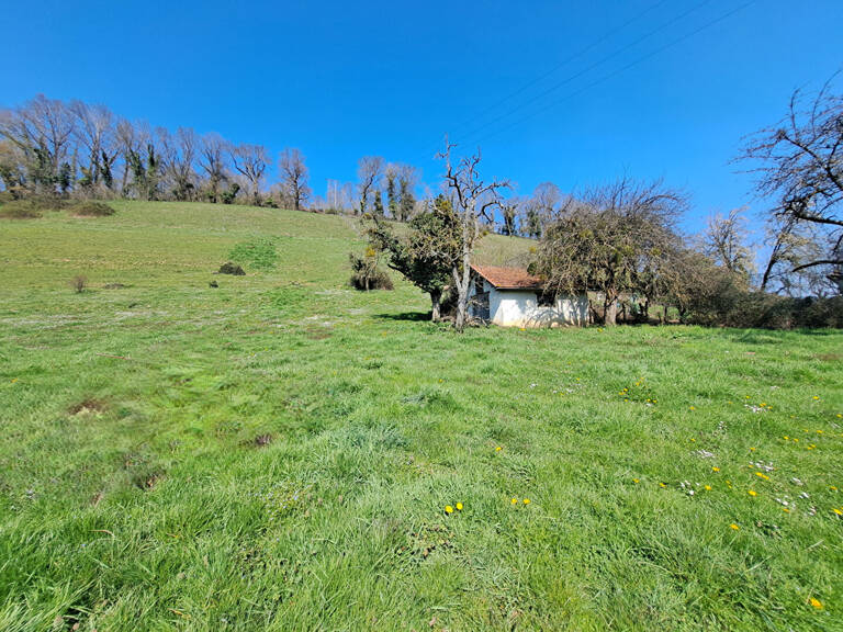 Terrain Paladru 1097 m2 — photo 1