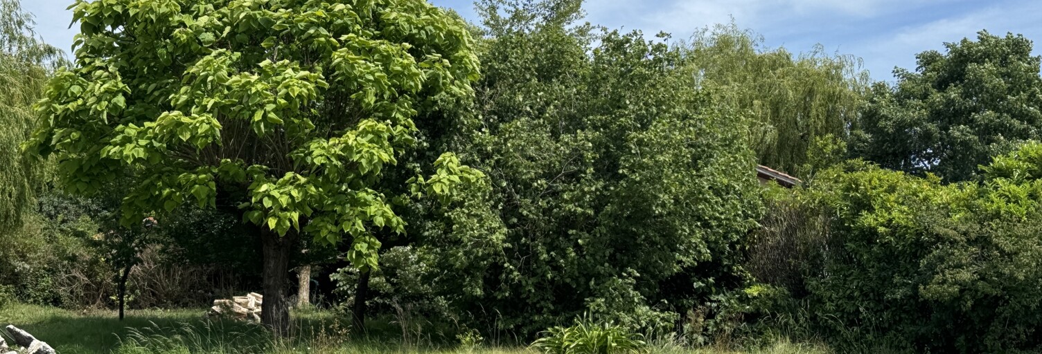 Terrain  992 m² à vendre à Saint-Laurent-Médoc (33112)