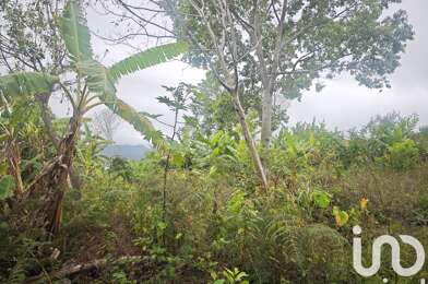 Terrain  175000 €