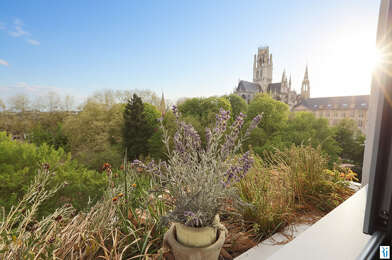 Appartement 3 pièces 950 €