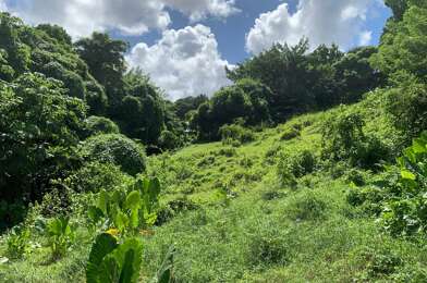 Terrain  247000 €