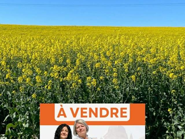 Terrain constructible — photo du bien