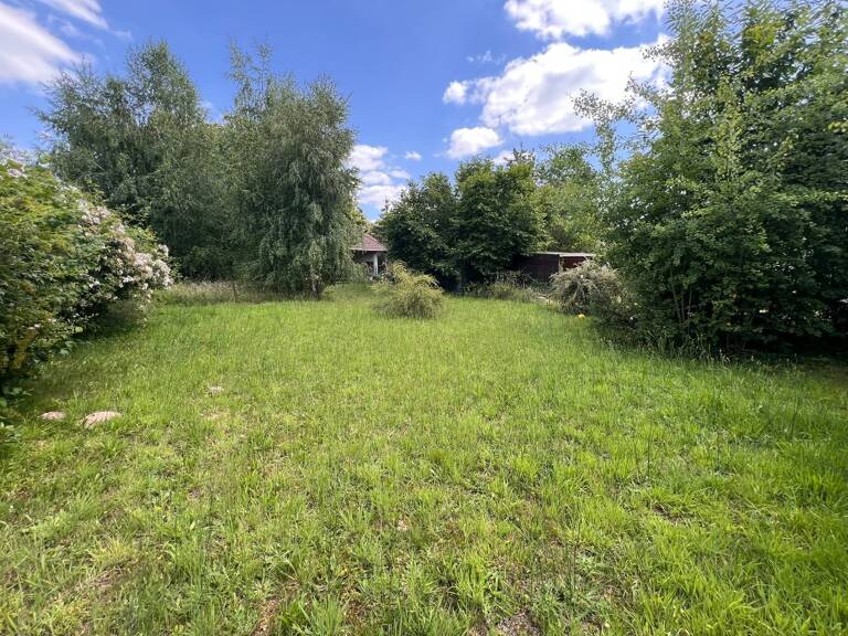 TERRAIN — photo 1