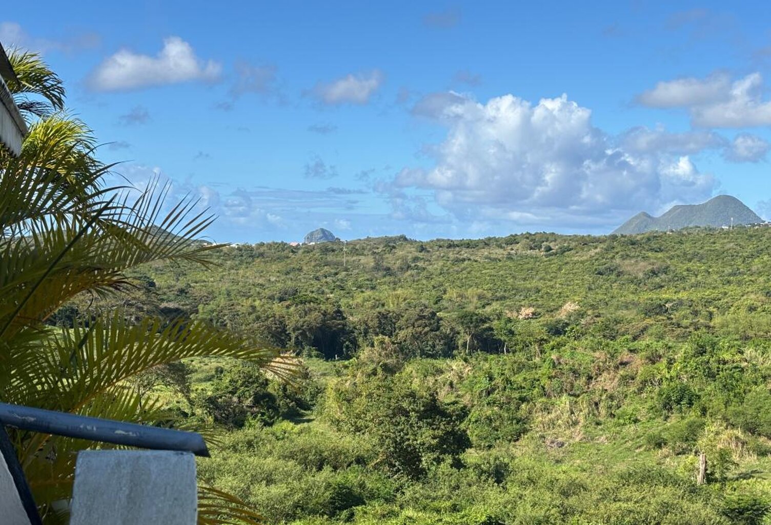 SAINTE LUCE - Résidence Les Cottages | Superbe T3 avec grande terrasse, garage, cave et ascenseur — photo 1
