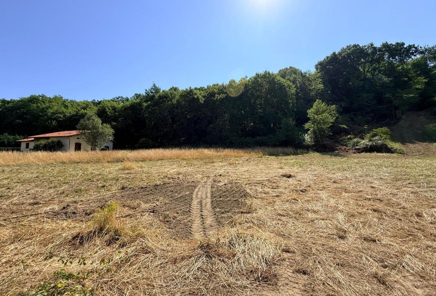 Terrain À Vendre — photo 1