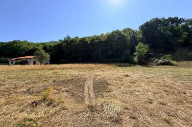 Terrain  60000 €