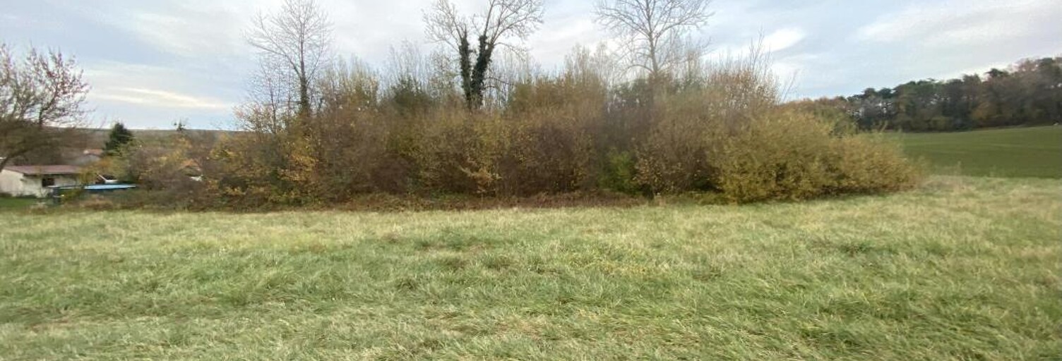Terrain  874 m² à vendre à Faverolles-et-Coëmy (51170)