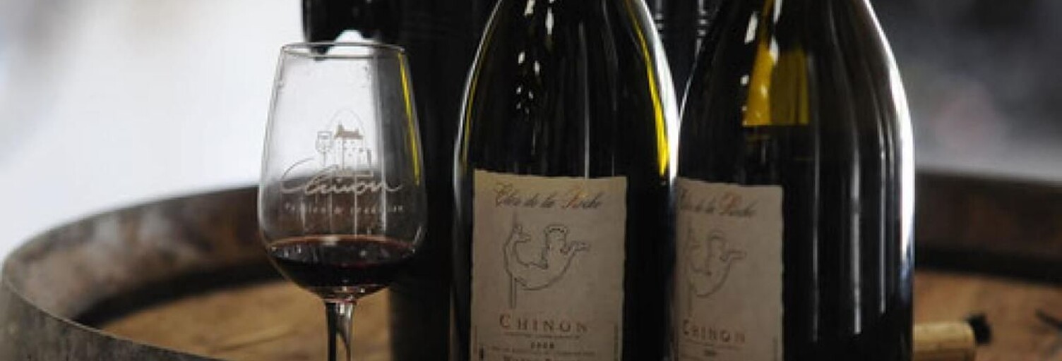 Terrain  2900 m² à vendre à Chinon (37500)