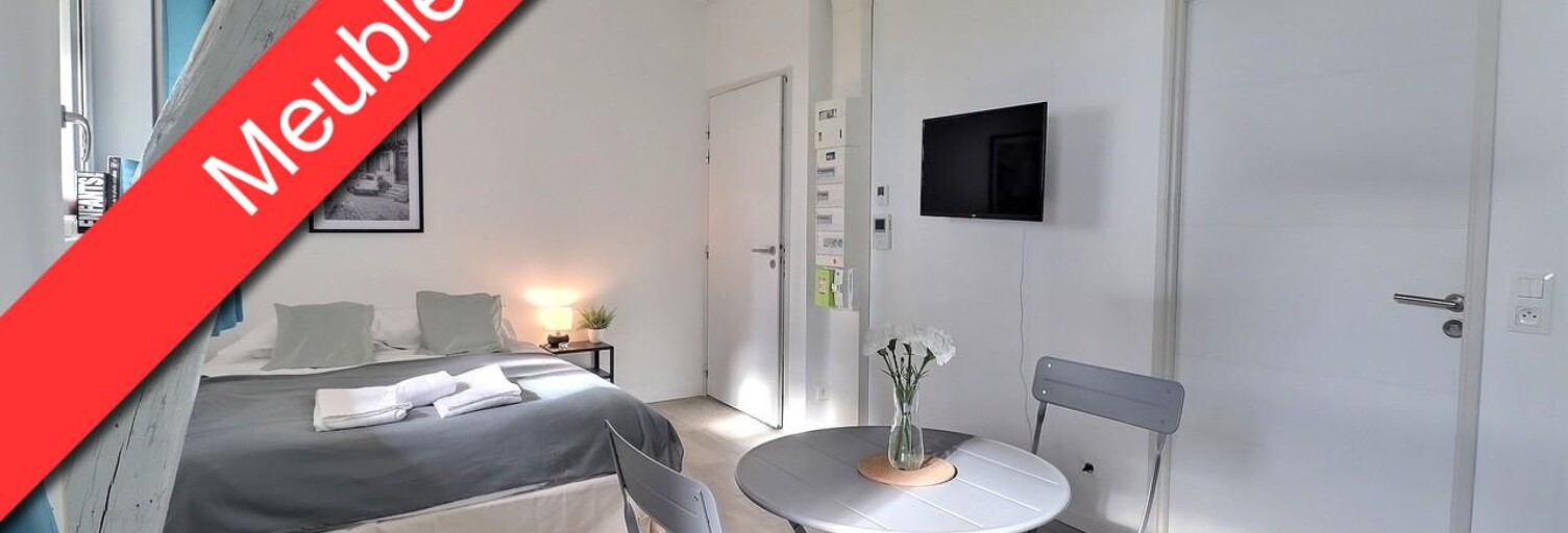Appartement 1 Pièce 19 m² à louer à Tours (37000)