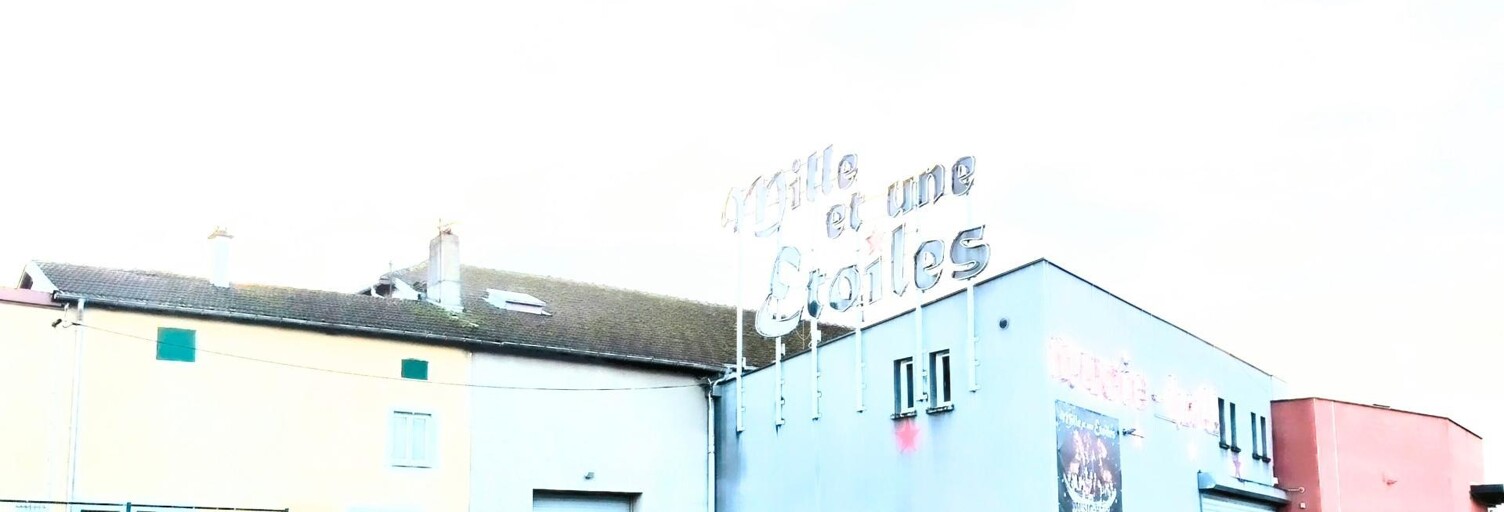 Commerce 33 Pièces 1417 m² à vendre à Charmes (88130)