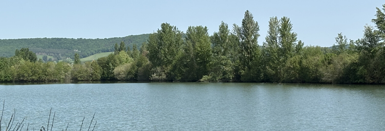 Terrain  220962 m² à vendre à Montpezat (47360)