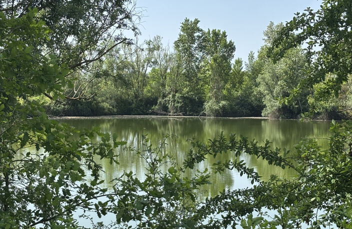 Terrains avec lacs — photo 2